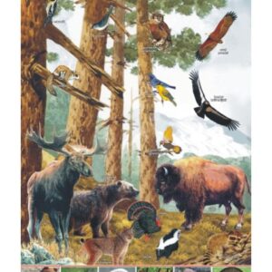 Ameryka Północna – zwierzęta w środowisku – Tablica edukacyjna 70x100 cm