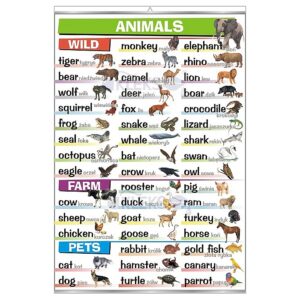 Animals - Tablica edukacyjna 70x100 cm