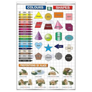 Colours & shapes - Tablica edukacyjna 70x100 cm