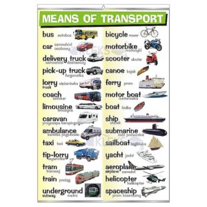 Means of transport - Tablica edukacyjna 70x100 cm
