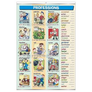 Professions - Tablica edukacyjna 70x100 cm