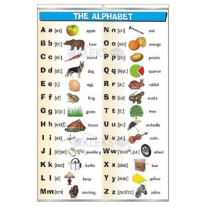 The alphabet - Tablica edukacyjna 70x100 cm