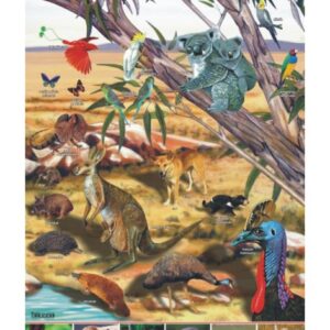 Australia – zwierzęta w środowisku – Tablica edukacyjna 70x100 cm