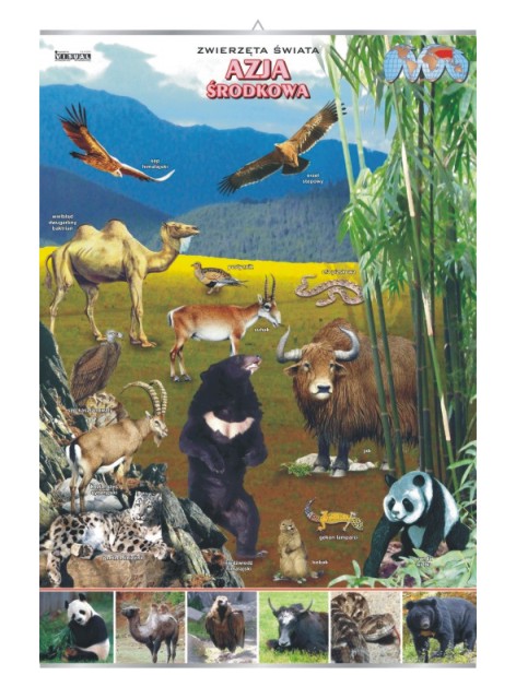 Azja Środkowa – zwierzęta w środowisku – Tablica edukacyjna 70x100 cm