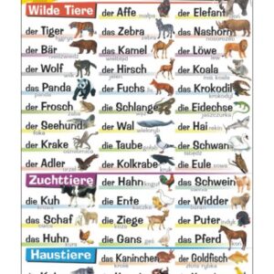die Tiere - Tablica edukacyjna 70x100 cm
