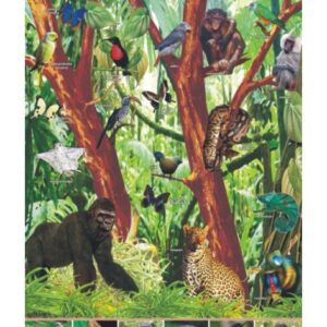 Dżungla afrykańska – zwierzęta w środowisku – Tablica edukacyjna 70x100 cm