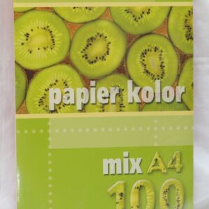Papier kolor mix format A4 - 100 kartek