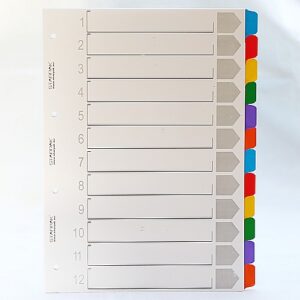 Przekładki do segregatorów A4 kartonowe - 12 kolorów