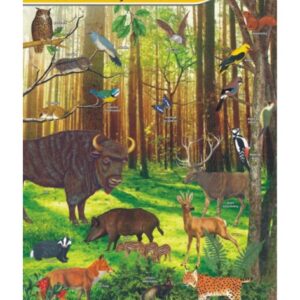 Mieszkańcy lasów – Tablica edukacyjna 70x100 cm