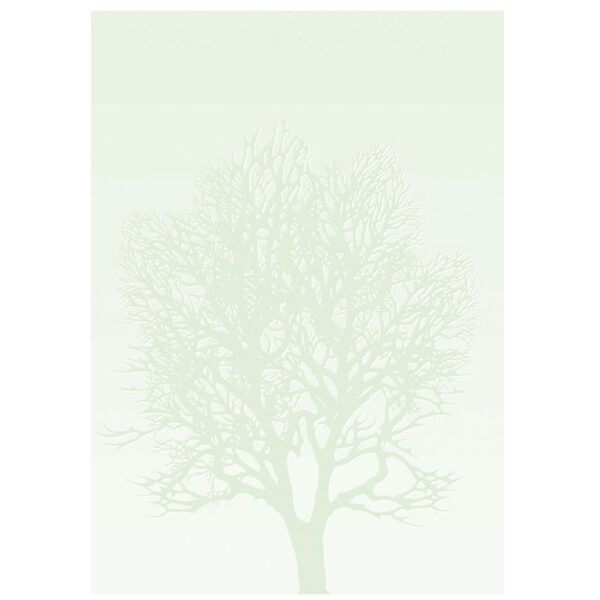 papeteria drzewo 01
